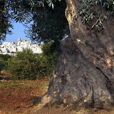 La Stradella فندق مبيت وإفطار 3*