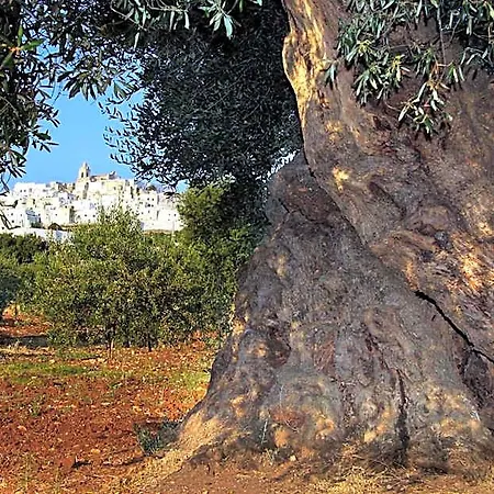 La Stradella